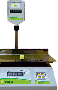 FDT Model Scale